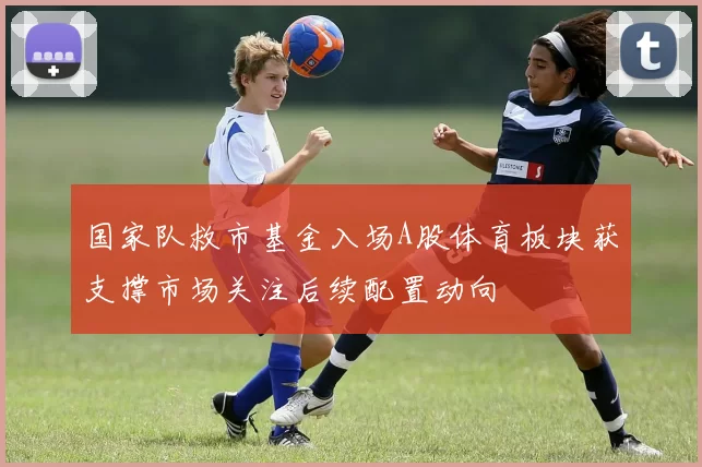 国家队救市基金入场A股体育板块获支撑市场关注后续配置动向